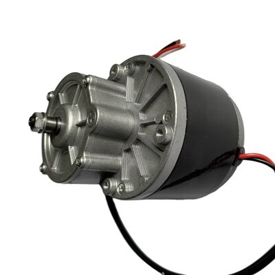 Buen precio 300W 1016 MOTOR con caja de engranajes de gusano baja velocidad alto par DC 24V motor de engranajes de gusano en línea