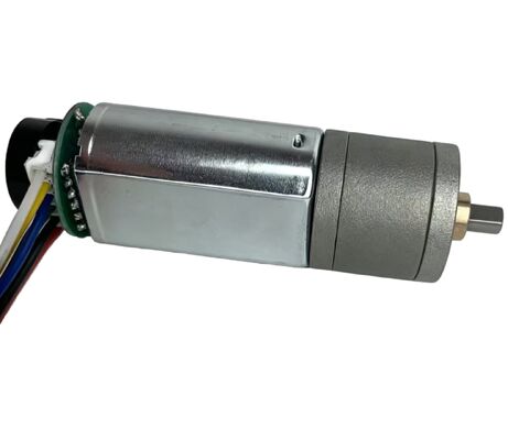 Bon prix 20 mm 10 kg 12 volts 24 volts Mini Brushed Motor Gear Motor fournissant un couple de sortie et une vitesse constants adaptés aux composants automobiles et aux petits appareils en ligne