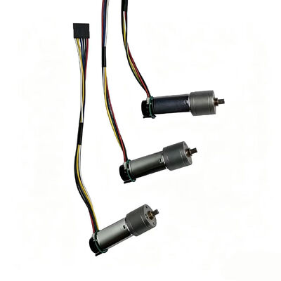 Good price Precision 12V 20mm High Torque Gear Motor with Encoder for Automation and Robotics online